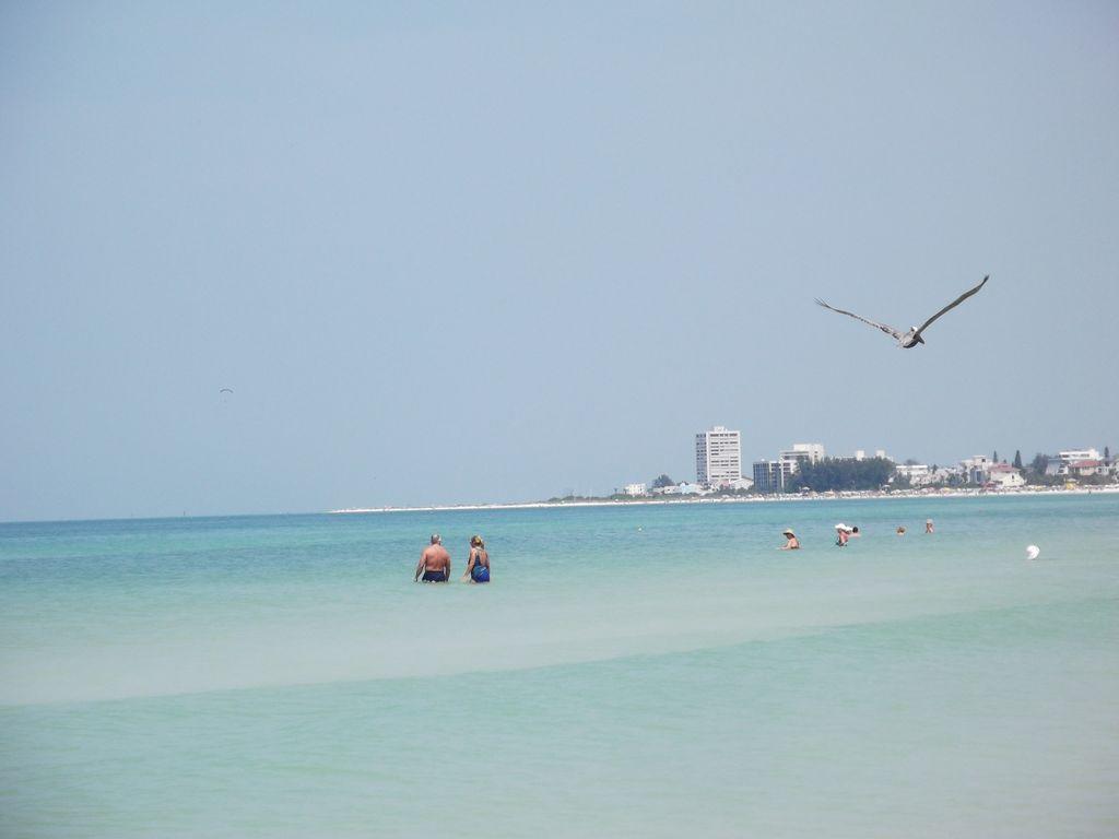 2Br/1Ba Vacation Rental - Sienna Park Sarasota Dış mekan fotoğraf
